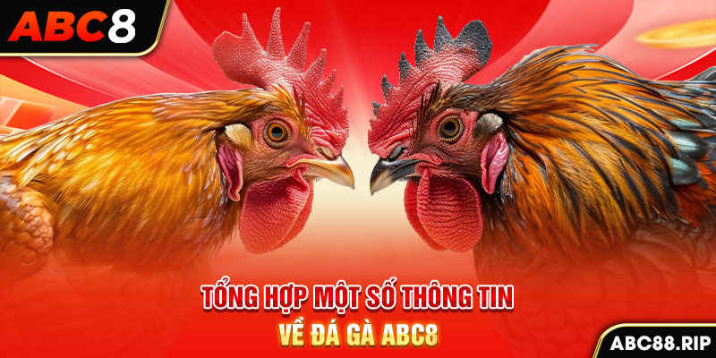 tong-hop-mot-so-thong-tin-ve-da-ga-abc8