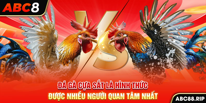 da-ga-cua-sat-la-hinh-thuc-duoc-nhieu-nguoi-quan-tam-nhat