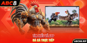 tim-hieu-ve-app-da-ga-truc-tiep