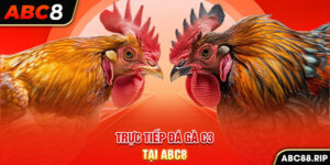 truc-tiep-da-ga-c3-tai-abc8