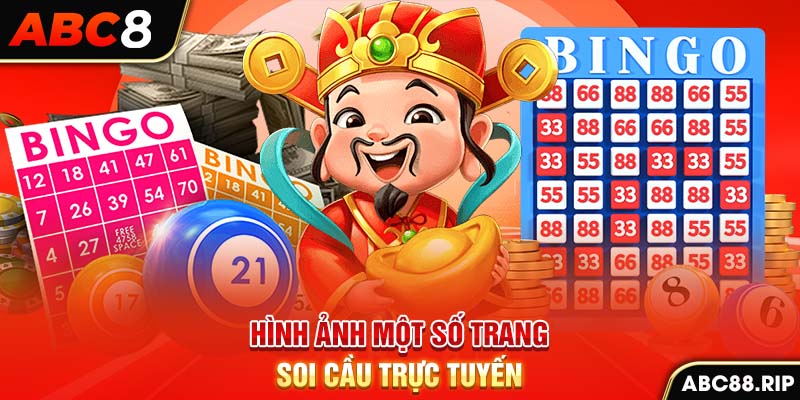 hinh-anh-mot-so-trang-soi-cau-truc-tuyen